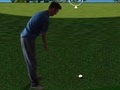 游戏Flash Golf 3D