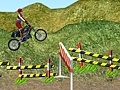 游戏Motorcycle Rally