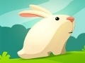 游戏Greedy Rabbit