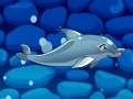 游戏My Dolphin Show 5