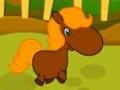 游戏Pony Races