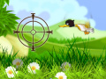 游戏Duck Shooter 