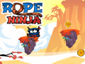 游戏Rope Ninja 