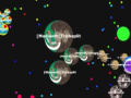 游戏Gota. io 