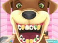 游戏Animal Dentist 