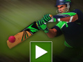 游戏Cricket Batter Challenge