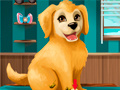 游戏Become a Puppy Groomer