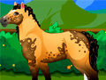 游戏Pony Dress Up