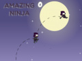 游戏Amazing Ninja