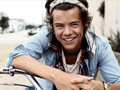 游戏Harry Styles Spot the Difference