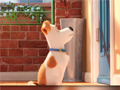 游戏Hidden Letters in The Secret Life of Pets