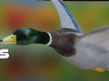 游戏Duck Hunter Autumn forest 