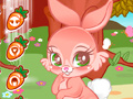 游戏Cute Bunny
