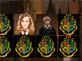 游戏Harry Potter Memo Deluxe