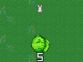 游戏Cabbage Run