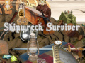 游戏Shipwreck Survivor