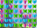 游戏Butterfly Collector