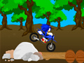 游戏Cross Sonic Race 