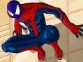 游戏Spiderman Costume