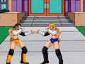 游戏Pro Fighting Combat