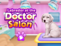 游戏Labrador at the doctor salon    