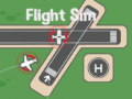 游戏Flight Sim