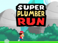 游戏Super Plumber Run