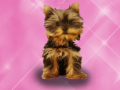 游戏Wash Pets Princess Kids    