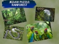 游戏Jigsaw Puzzle Rain Forest 