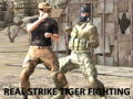 游戏Real Strike Tiger Fighting