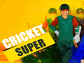 游戏Super Cricket      