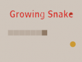 游戏Growing Snake  