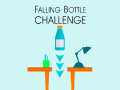 游戏Falling Bottle Challenge