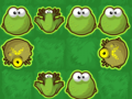 游戏Frog Rush