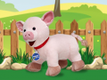 游戏Catch The Pig