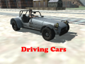 游戏Driving Cars