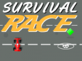 游戏Survival Race