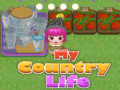 游戏My County Life