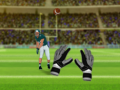 游戏American Football Challenge