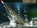 游戏Summer Lake