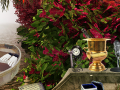 游戏The Prize Winning Garden