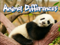 游戏Animal Differences 