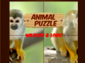 游戏Animal Puzzle: Wildlife & Logic