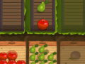 游戏Fruit Gardener