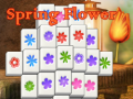 游戏Spring Flower