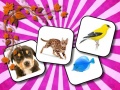 游戏Animals Memory