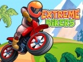 游戏Extreme Bikers