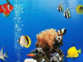 游戏Sea Underwater Difference