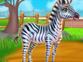 游戏Zebra Caring