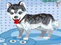 游戏My Cute Dog Bathing